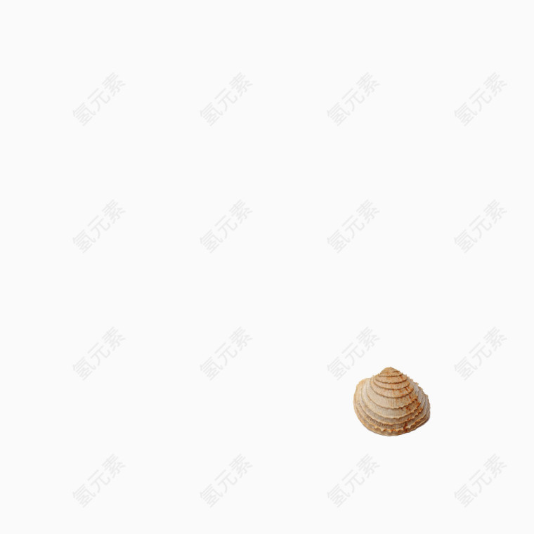 贝壳