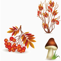 矢量图感恩节元素