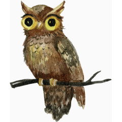 手绘水彩站在树杈上的猫头鹰