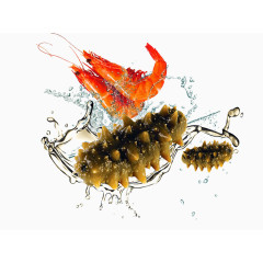 水波溅起对虾海参