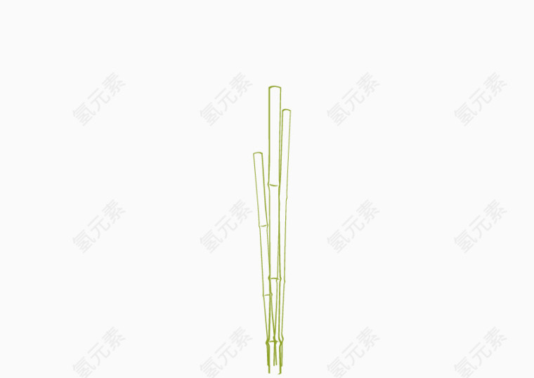绿色竹子