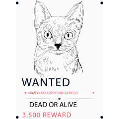 素描小猫通缉令