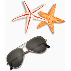 海星墨镜海滩元素