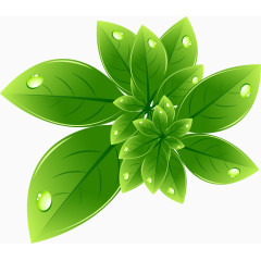 精美绿色环保主题标签矢量素材