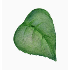 水墨油画水彩树叶