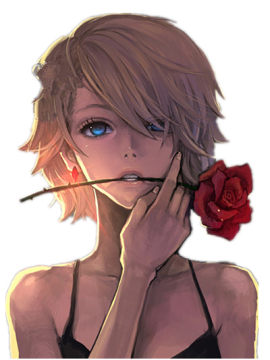 嘴巴叼着一朵红色玫瑰的女生