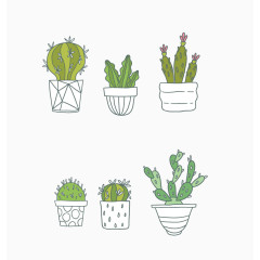 矢量仙人掌合集