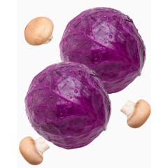 紫包菜蘑菇实物素材