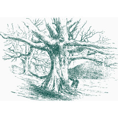 素描树木人物背景PNG矢量元素