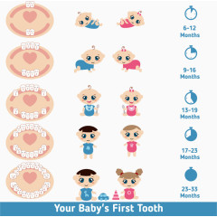 矢量可爱卡通牙齿注解素材