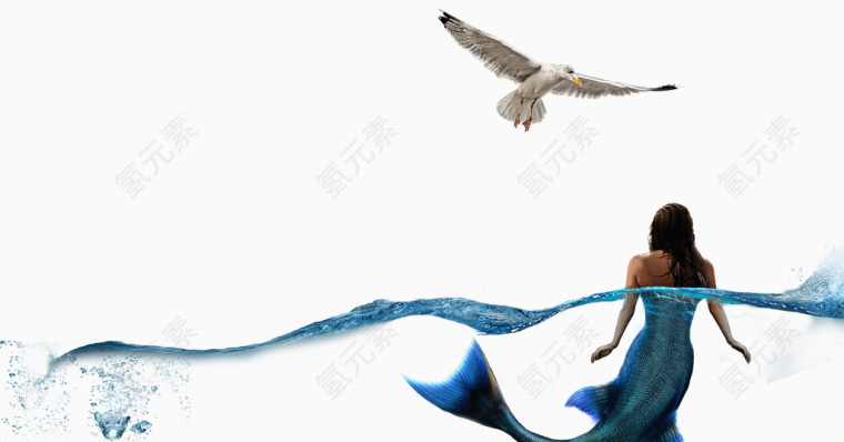 飞行海鸥美人鱼下载