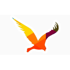 海鸥大鸟彩色飞翔展翅