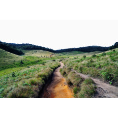 努沃勒埃利耶景色