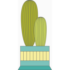 个性定制双胞胎型仙人掌