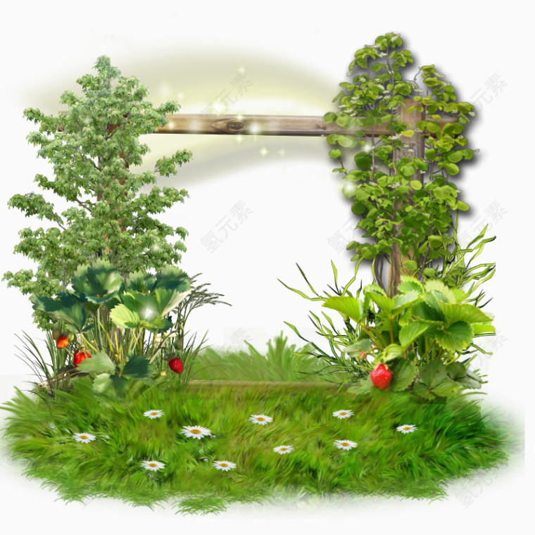 花草装饰框架