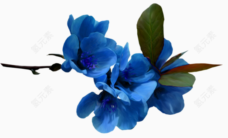 蓝色小花