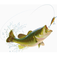 水花喷溅与卡通矢量鱼