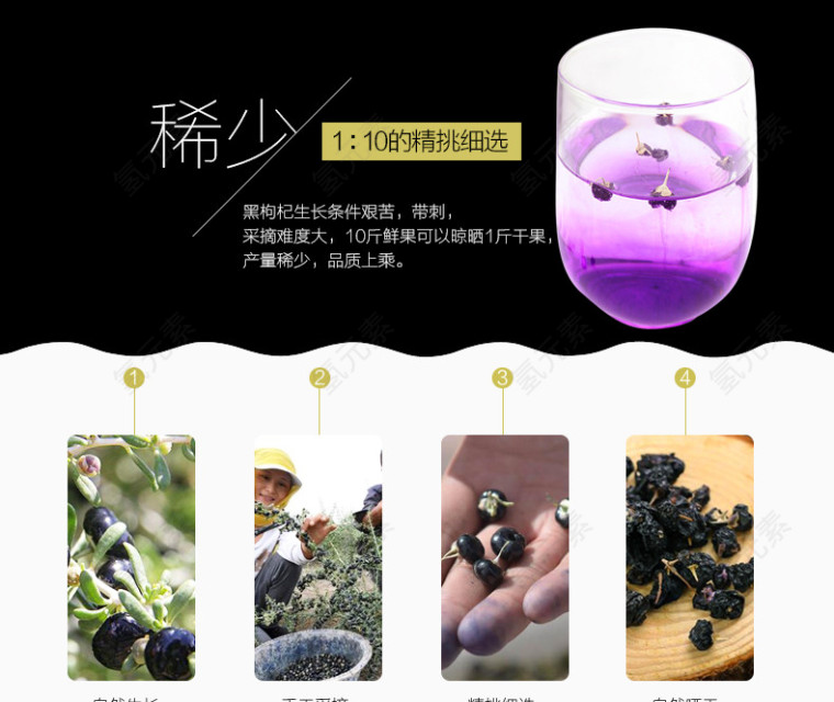 黑枸杞详情介绍