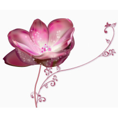 紫红色花朵装饰