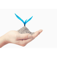 矢量手中的小树苗