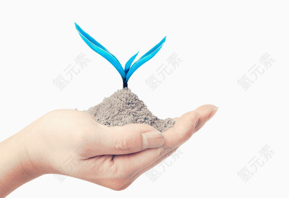 矢量手中的小树苗