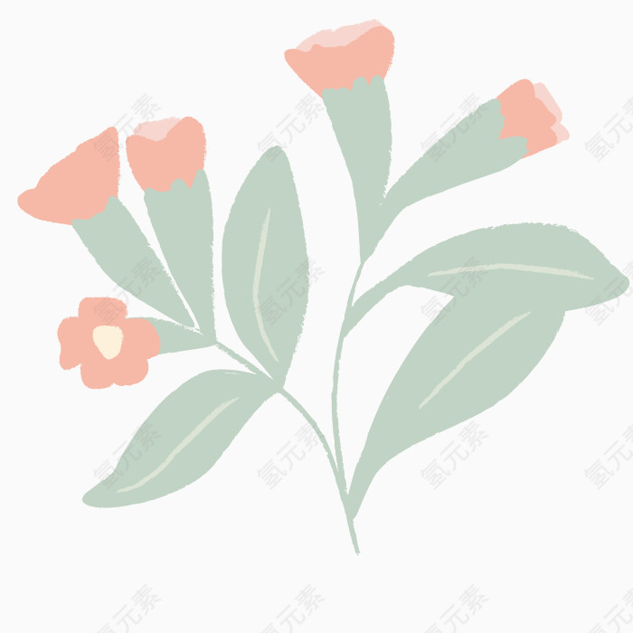 绿色植物鲜花