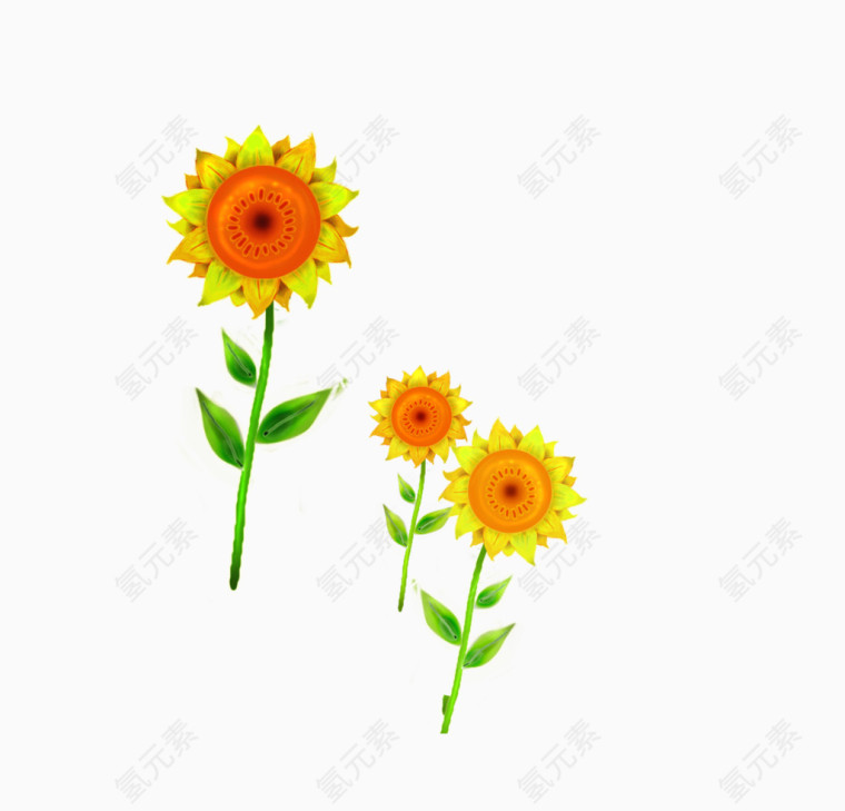唯美精美花朵太阳花树叶