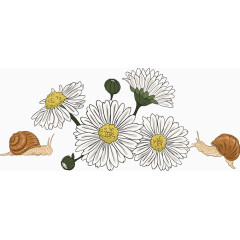 矢量手绘菊花和蜗牛
