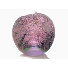矢量苹果樱花树