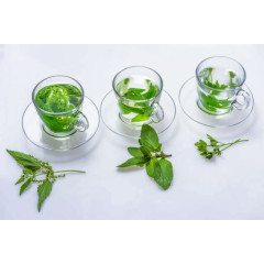 清茶花茶饮料