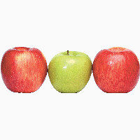 红苹果