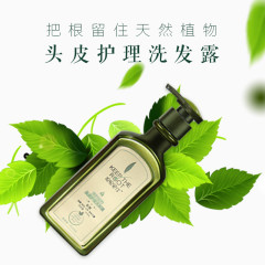 头皮护理洗发露