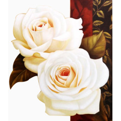 油画白玫瑰花素材背景