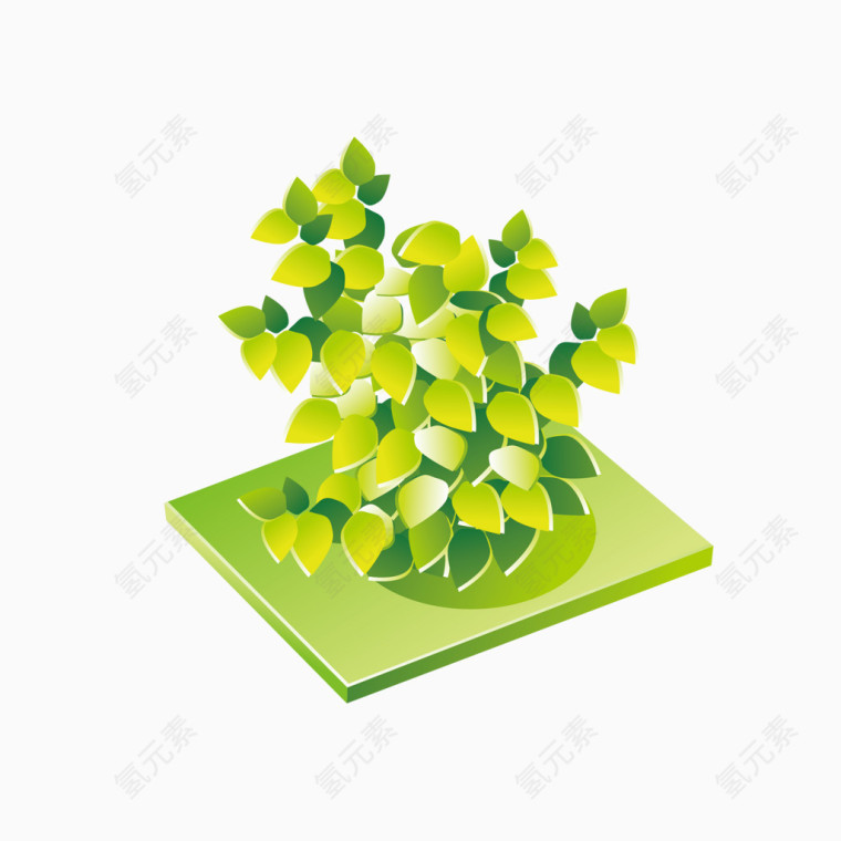 绿化植物