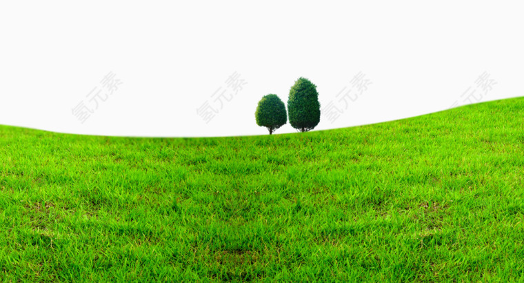 草