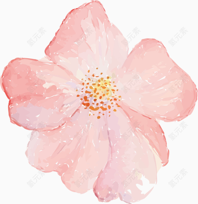 手绘花朵