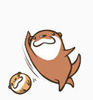 水獭卡通表情包