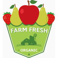 水果装饰矢量素材