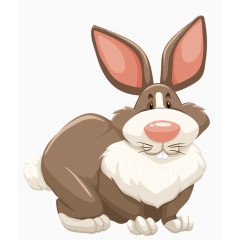 卡通兔子装饰