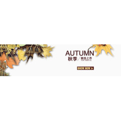 秋季新品上市排版枫叶
