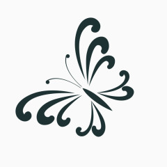 黑色的蝴蝶纹路