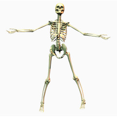 拥抱骷髅素材免抠