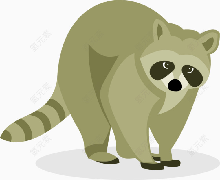 矢量可爱的浣熊插图