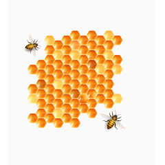 矢量黄色蜜蜂与蜂巢