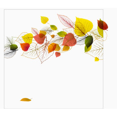 枫叶节日元素素材