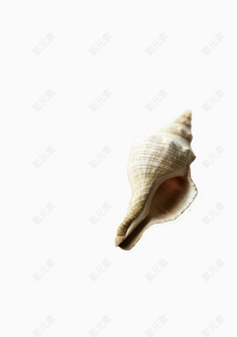 海螺元素