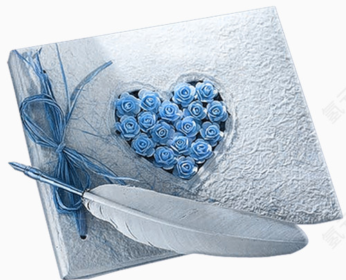 精致的羽毛信封