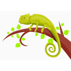 变色龙在树枝上