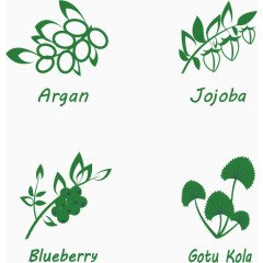 矢量时尚植物图标设计素材