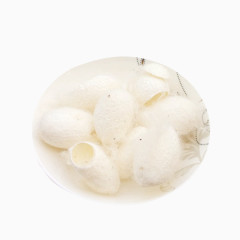 白色蚕衣高清素材